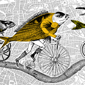 Cycling Fish