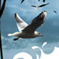Orion Books Series