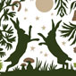 Countryfile column
