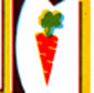Wrong Carrot