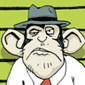 Chimps